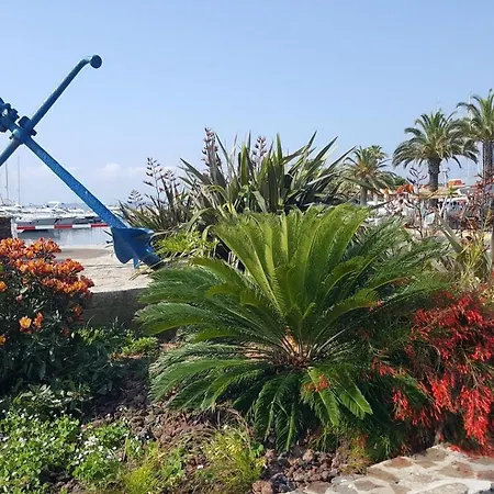 A 100 M Du Port Et 500 M Des Plages Διαμέρισμα *
