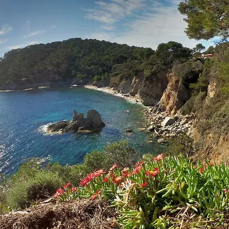 Apartment A 100 M Du Port Et 500 M Des Plages