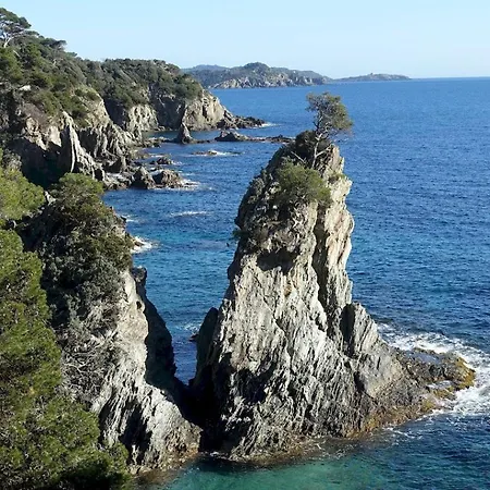 A 100 M Du Port Et 500 M Des Plages Διαμέρισμα Ιέρ